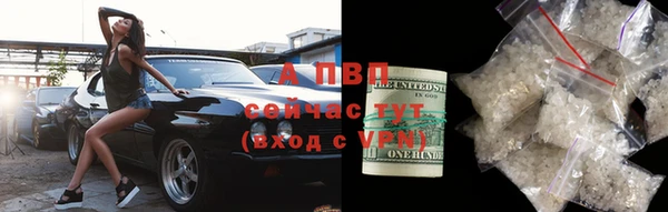 прущие крисы Абаза