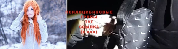 ешки Абинск