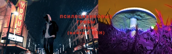 прущие крисы Абаза