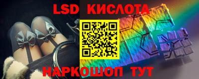 шишки Аргун