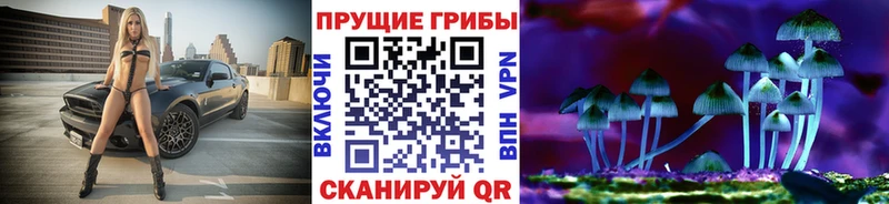 Галлюциногенные грибы Magic Shrooms  Воронеж 